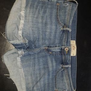 Hollistet cutoffs